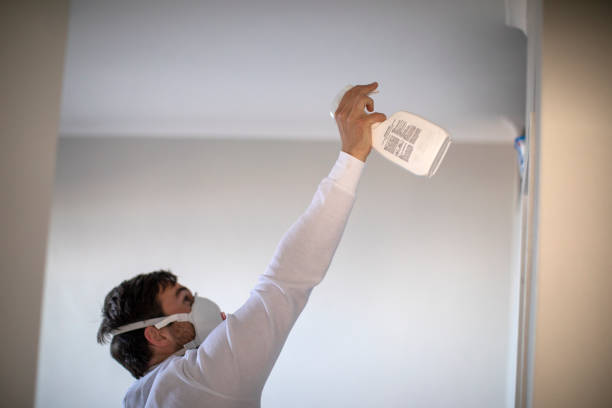 Best Fast Mold Removal  in Winfield, KS