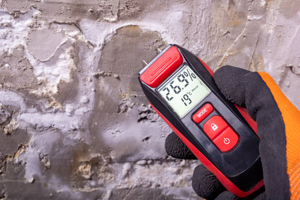 Best Mold Testing  in Winfield, KS