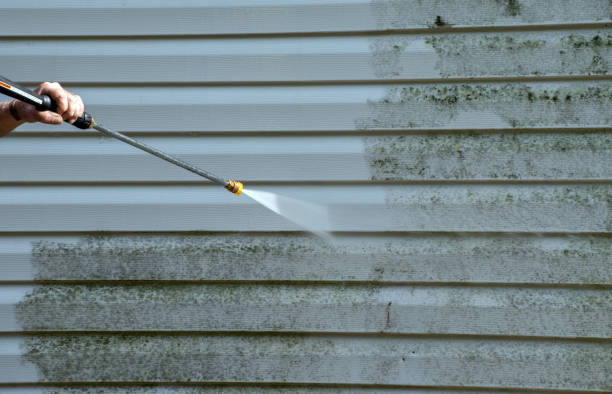 Best Commercial Mold Removal  in Winfield, KS
