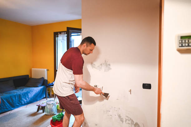 Best Affordable Mold Removal  in Winfield, KS